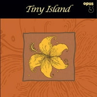Çeşitli Sanatçılar - Tiny Island - Vinil