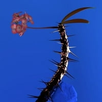 Flume - Cilt Arkadaşı Ep Iı - Vinil