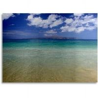 Marka Güzel Sanatlar Hawaii Mavi Plaj Fırçalanmış Alüminyum Duvar Sanatı Pierre Leclerc tarafından Sanat 16x22