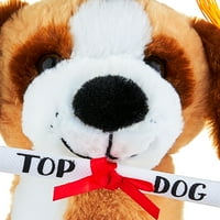 Mezuniyeti Kutlamanın Yolu Animasyonlu Top Dog Peluş