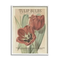 Stupell Industries Sıcak Kırmızı Lale Soğanları Antika Çiçek Tohum Paketi Çiftlik Evi Boyama Beyaz Çerçeveli Sanat