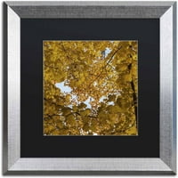 Marka Güzel Sanatlar Sonbaharın Altın Gölgelik Kurt Shaffer tarafından Tuval Sanatı, Siyah Mat, Gümüş Çerçeve