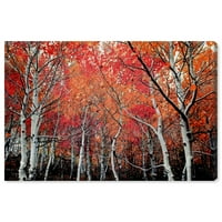 Wynwood Stüdyo Doğa ve Manzara duvar sanatı tuval Baskılar 'Sonbahar Ormanı' Orman Manzaraları-Turuncu, Kahverengi