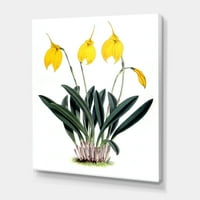 Orkide Retro Çiçekler Boyama Tuval Sanat Baskı