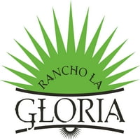 Rancho La Gloria, Pembe Limonata Margarita Kokteyli,% 13,9 ABV, 750 ml Cam Şişe, 5-150 ml Porsiyon